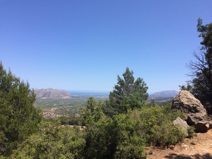 T0006 - Plot with stunning views