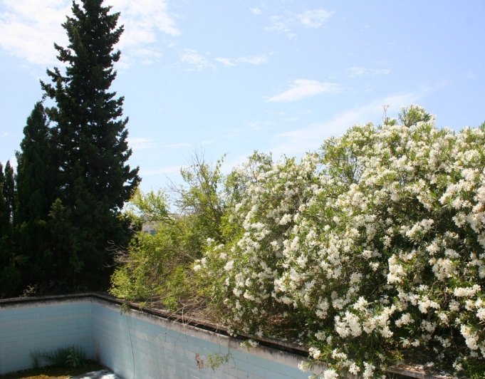 Finca en venta en Pedreguer