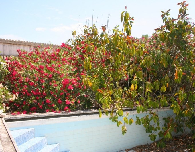 Finca en venta en Pedreguer