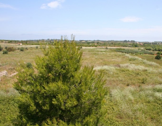 Finca en venta en Pedreguer