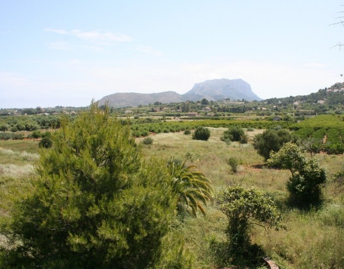 Finca en venta en Pedreguer