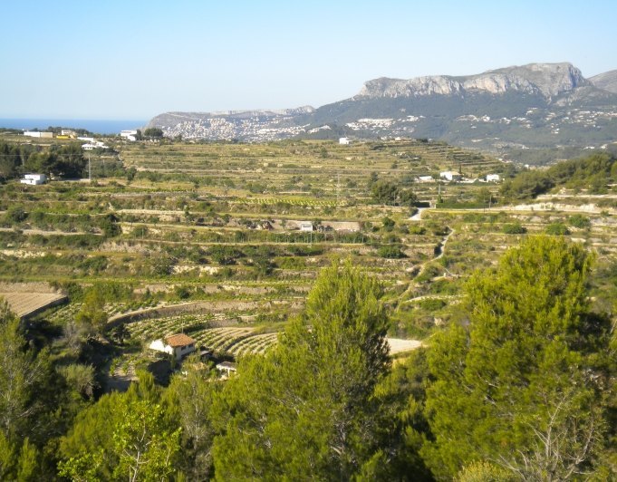 T0005 - Plot with views