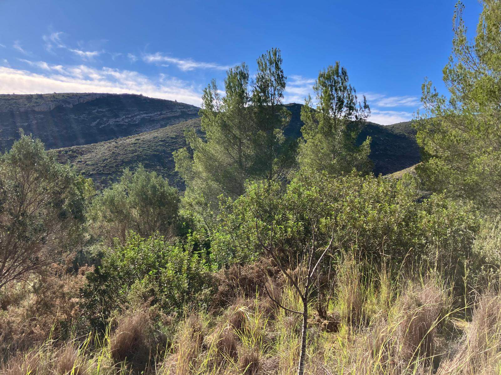 Casita de campo en Pedreguer