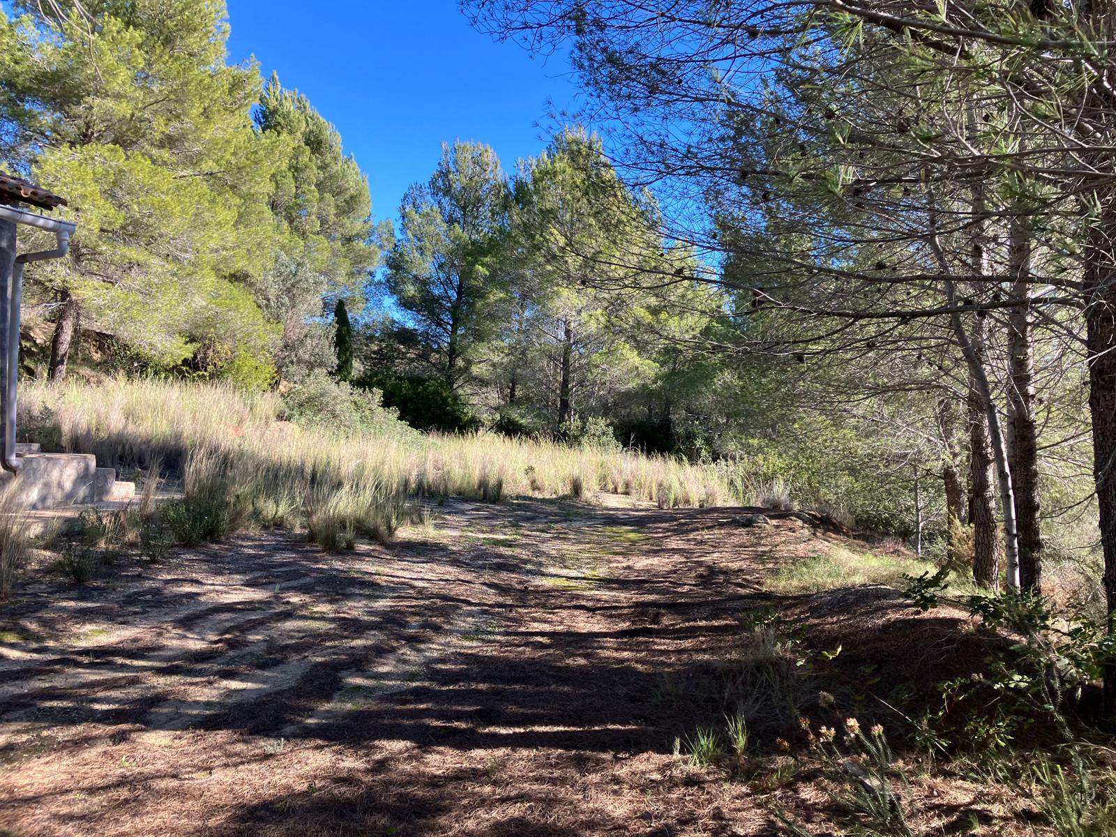 Casita de campo en Pedreguer