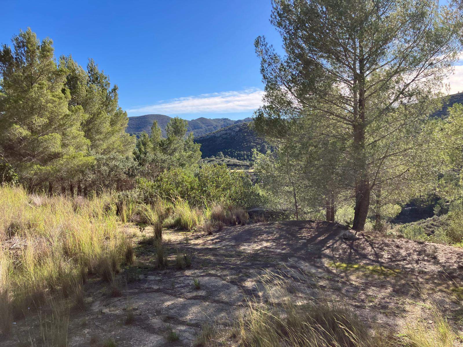 Casita de campo en Pedreguer