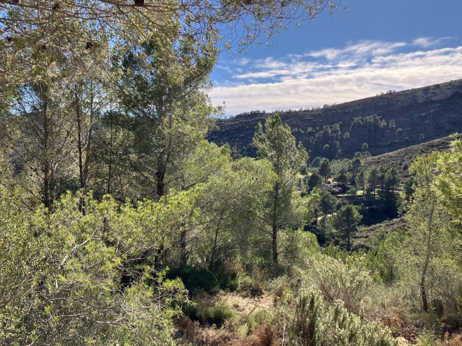 Casita de campo en Pedreguer
