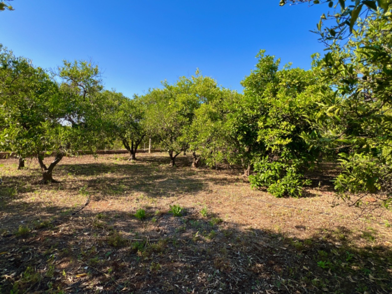 Casa de campo de 4 dormitorios en Pedreguer
