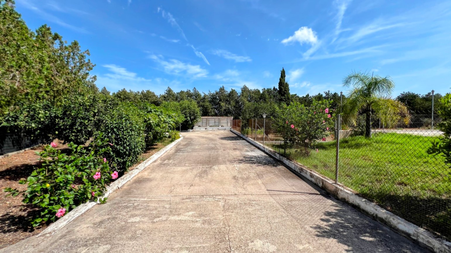 Finca en La Xara