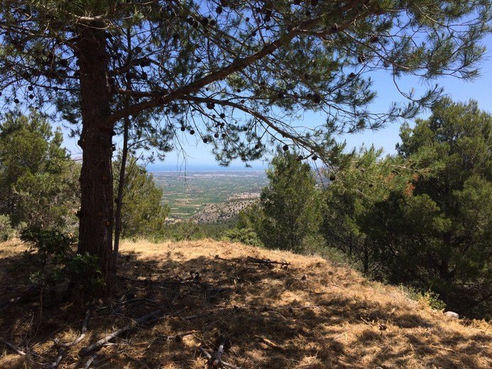 Parcela con magníficas vistas