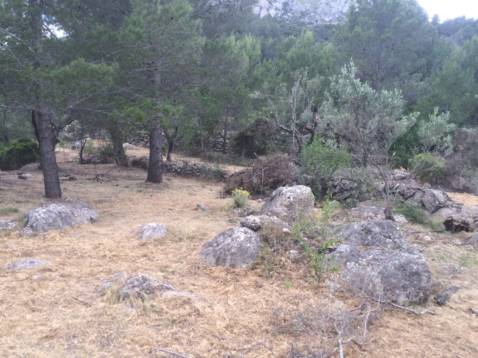 Parcela con magníficas vistas