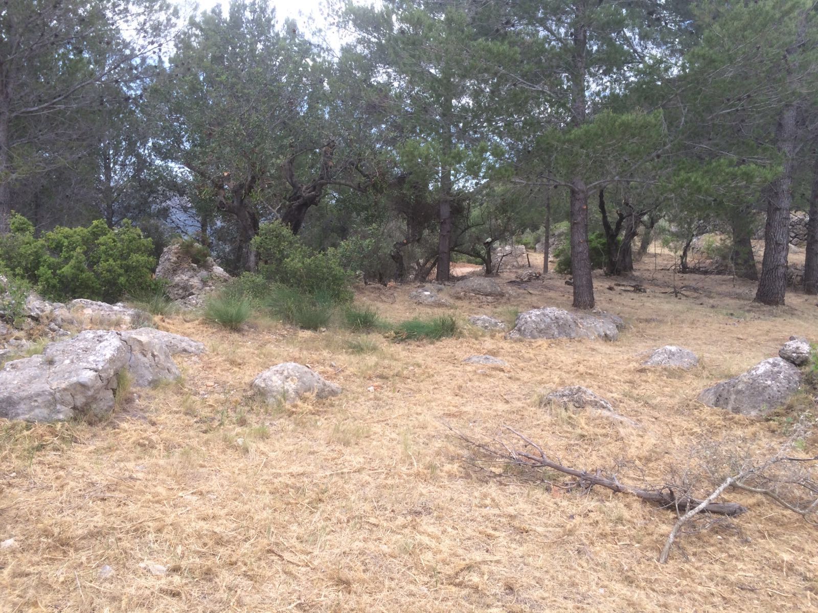 Parcela con magníficas vistas