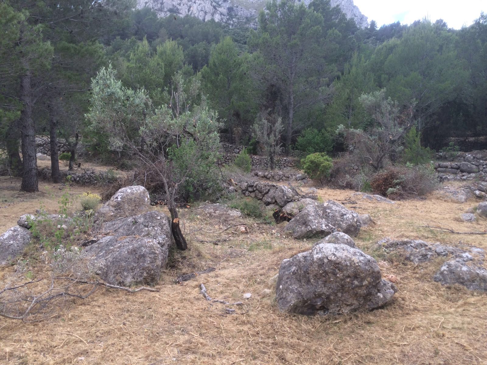 Parcela con magníficas vistas