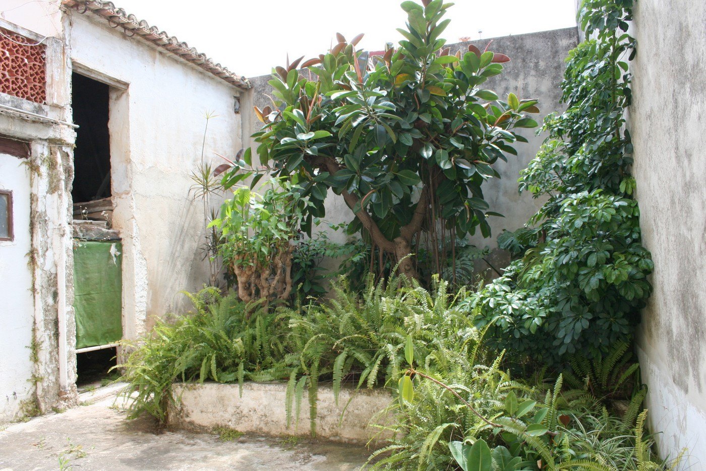 Magnificent Town House of three floors in Pedreguer