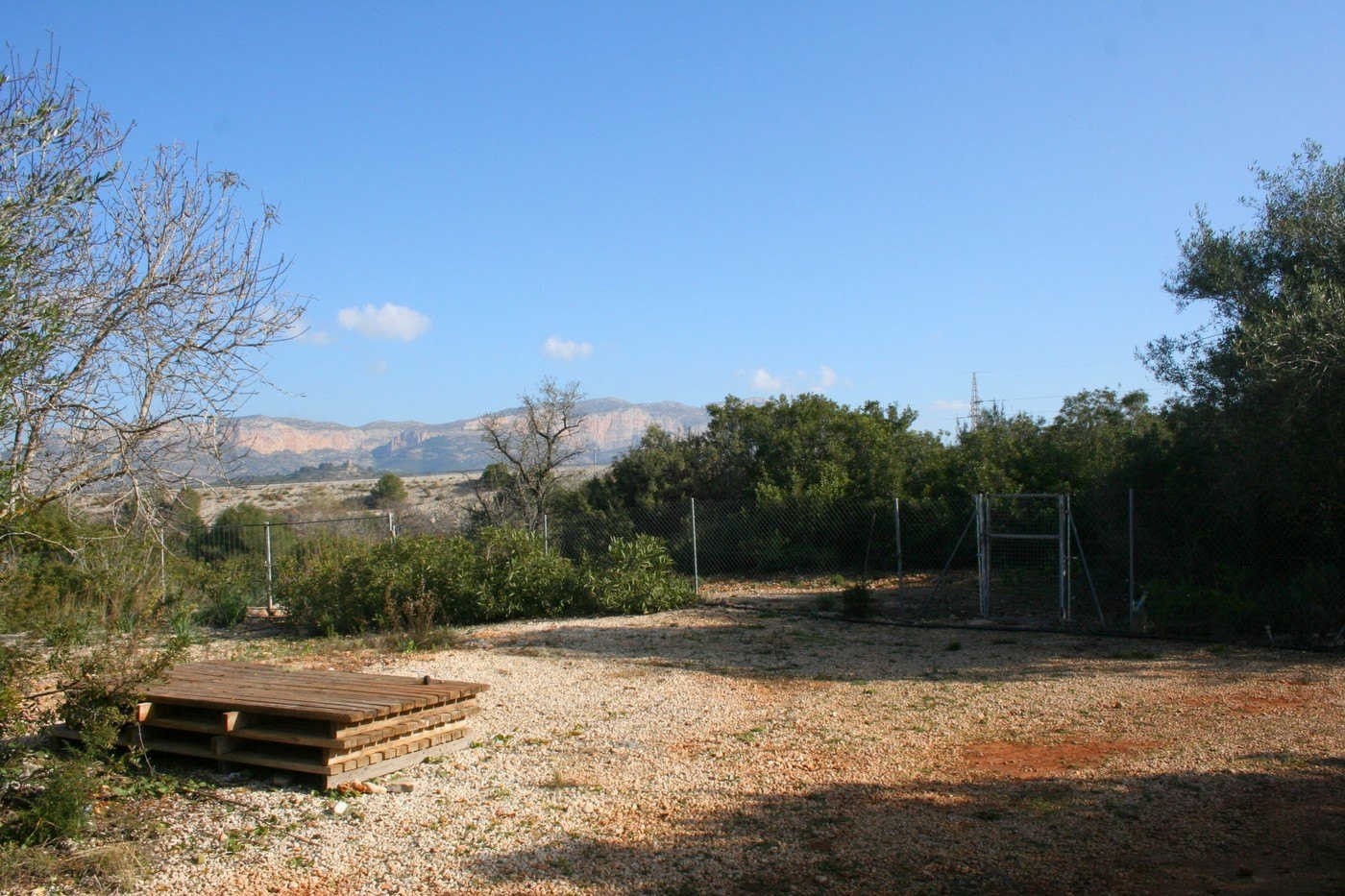 Terreno rústico de 11000 m2 con casita en Pedreguer