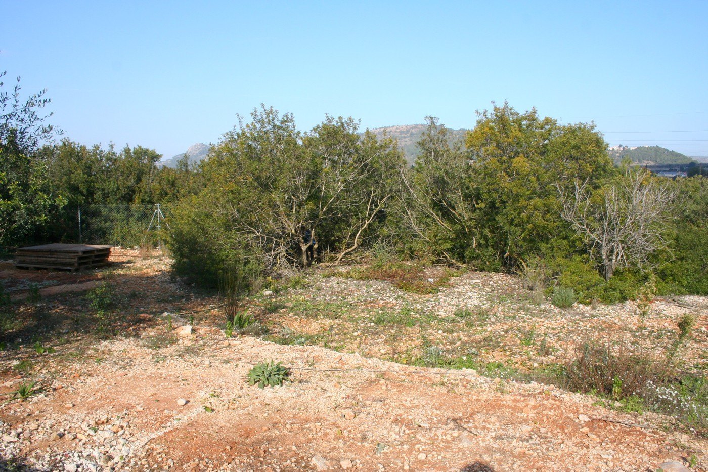 Terreno rústico de 11000 m2 con casita en Pedreguer