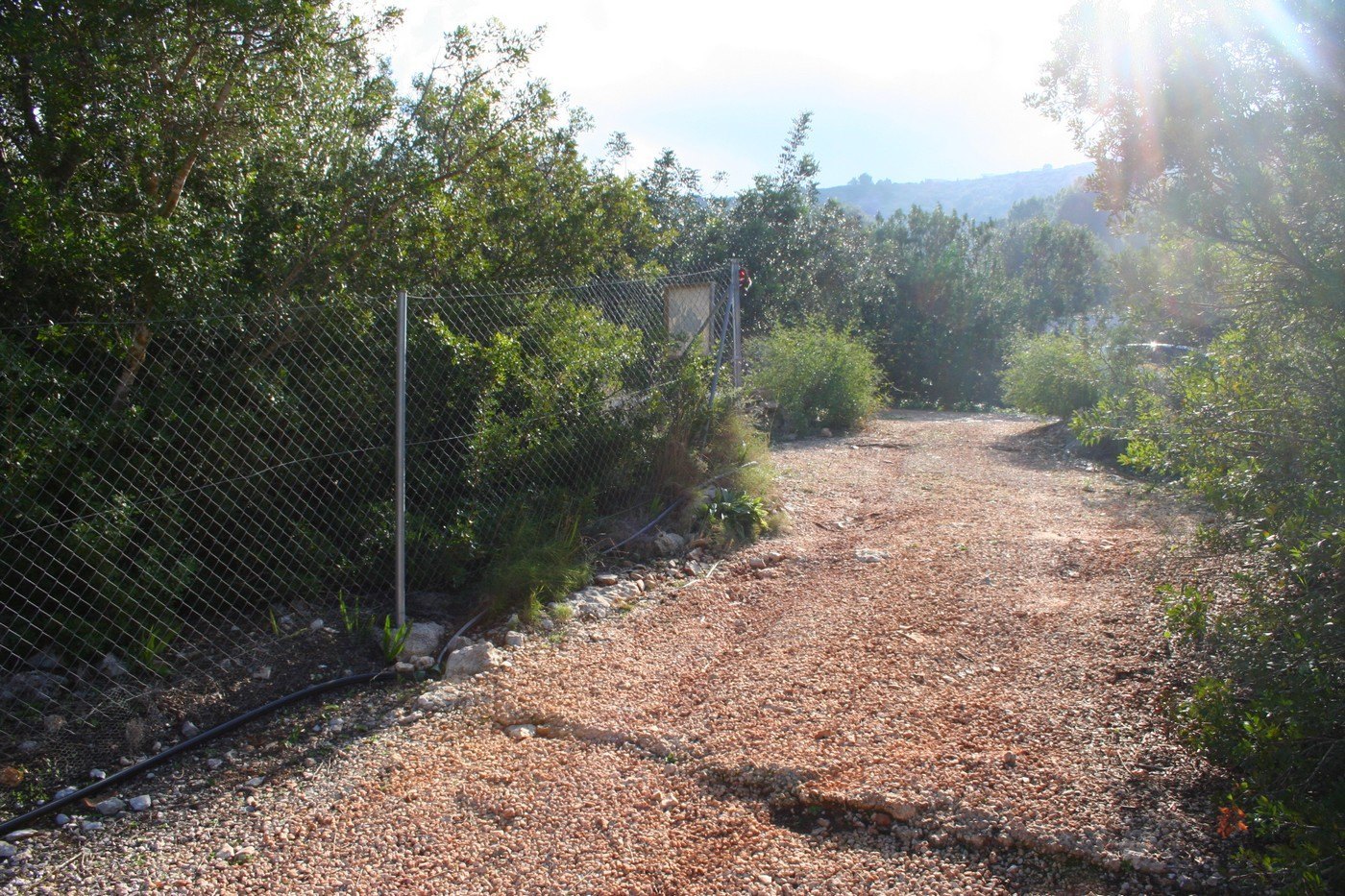 Terreno rústico de 11000 m2 con casita en Pedreguer