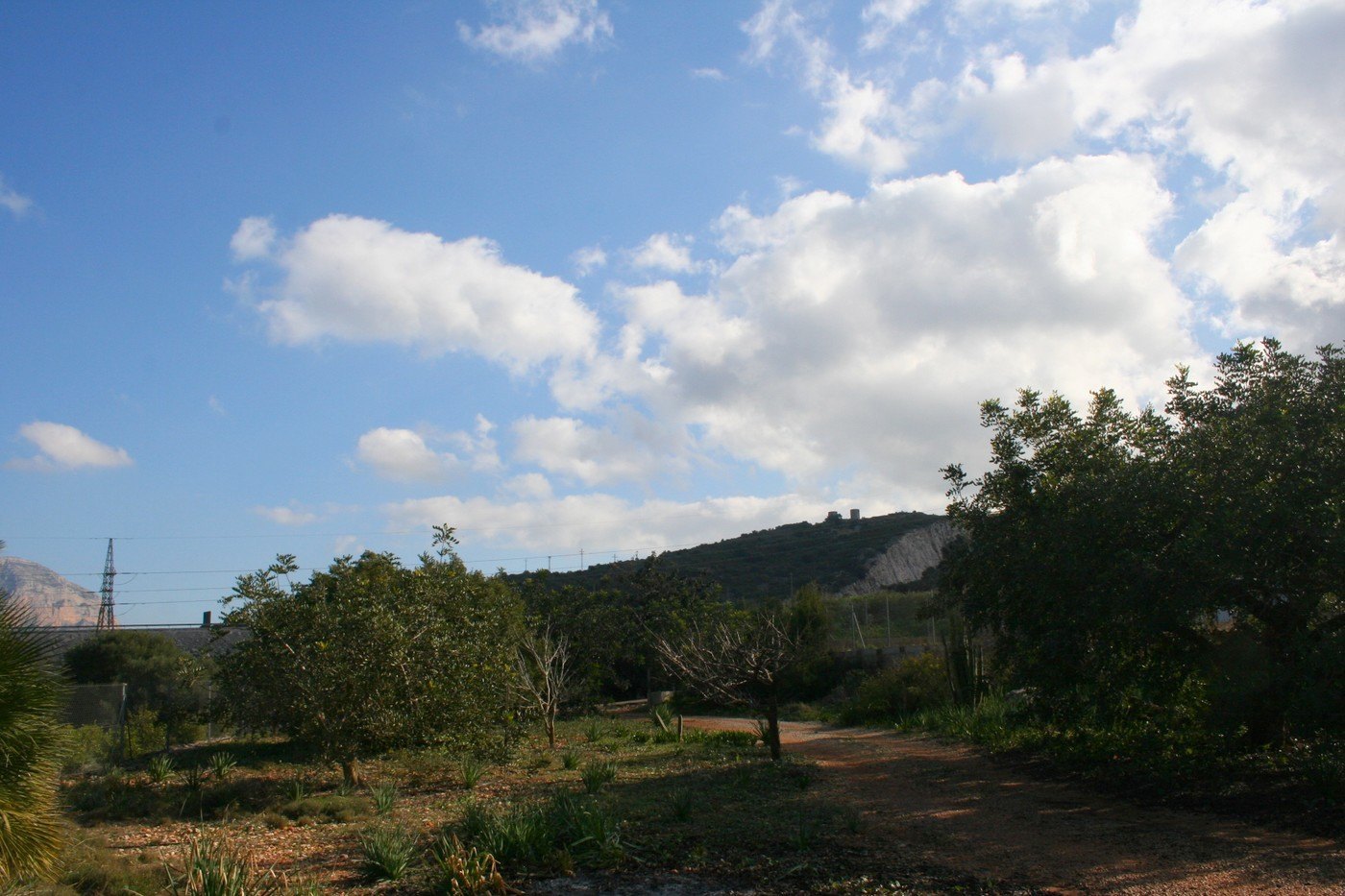 Terreno rústico de 11000 m2 con casita en Pedreguer