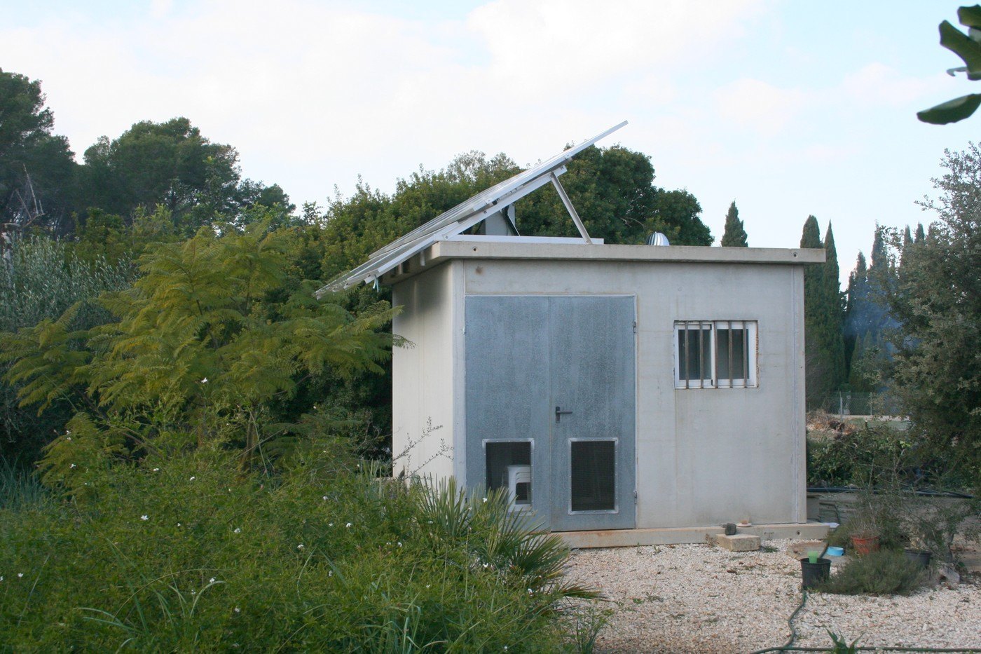 Terreno rústico de 11000 m2 con casita en Pedreguer