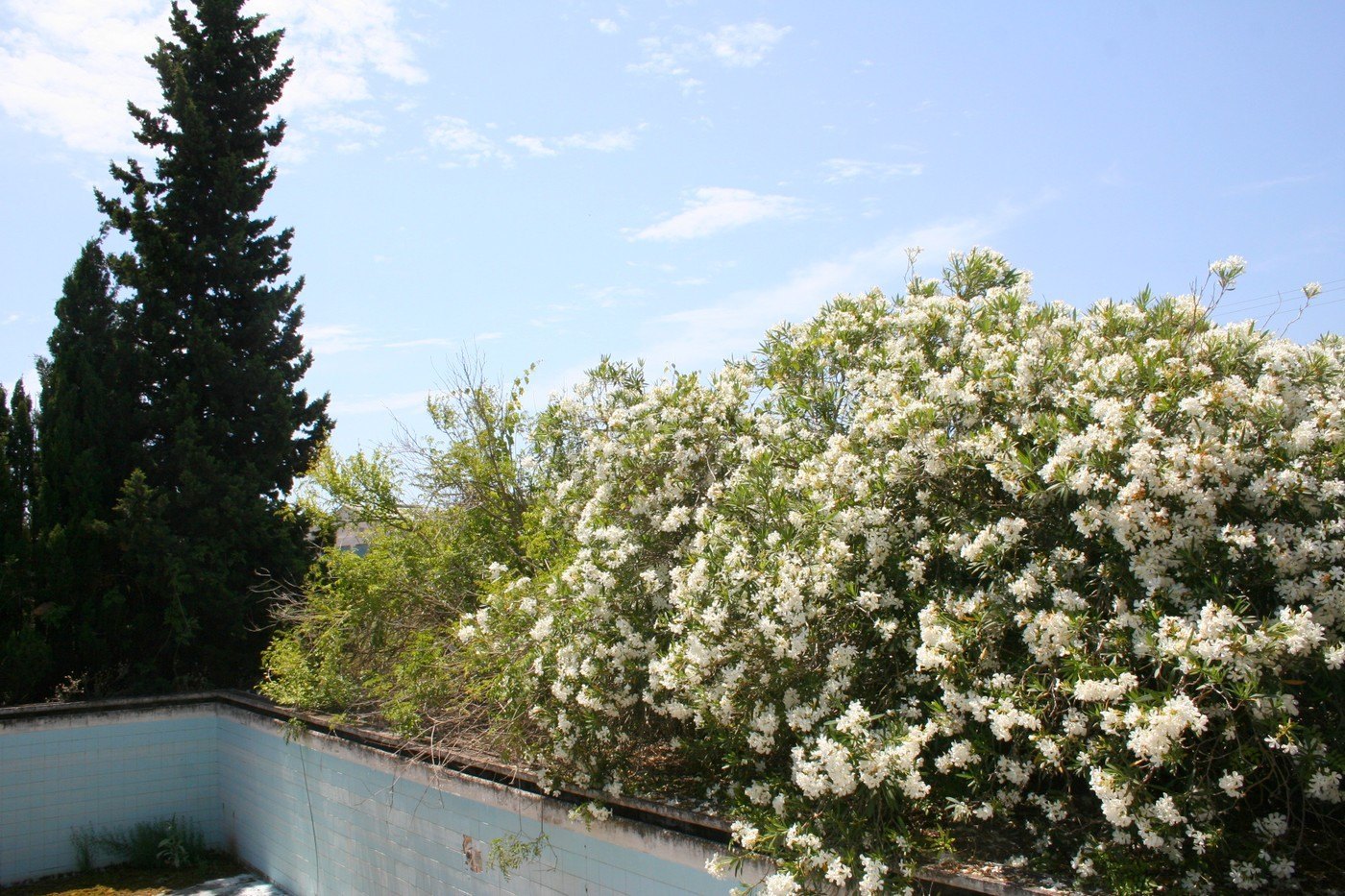 Finca en venta en Pedreguer
