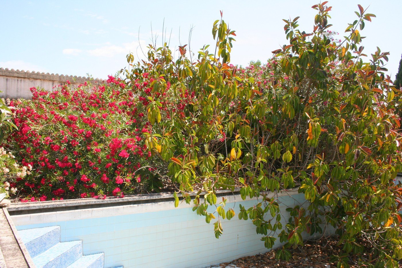 Finca en venta en Pedreguer