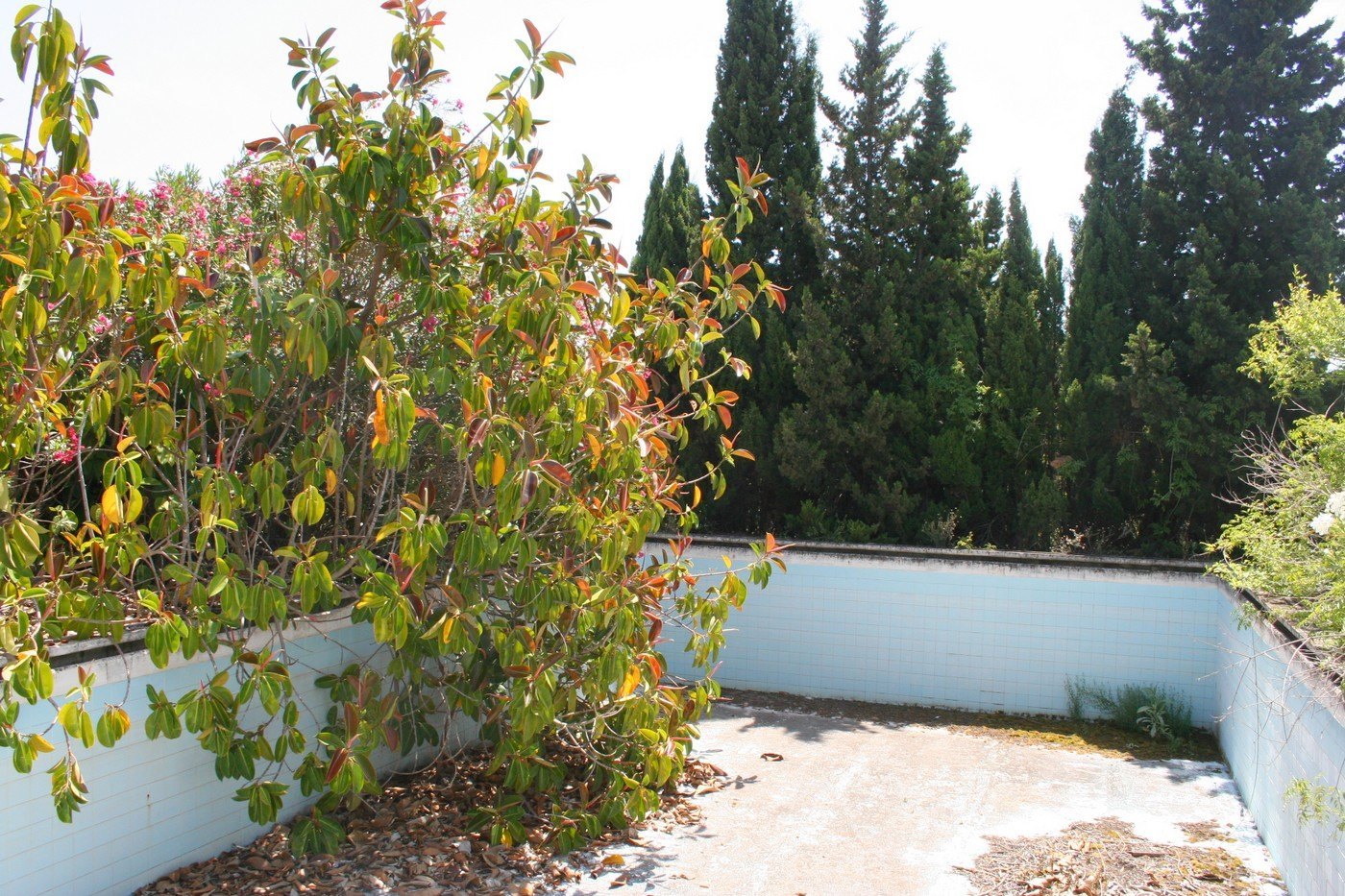 Finca en venta en Pedreguer
