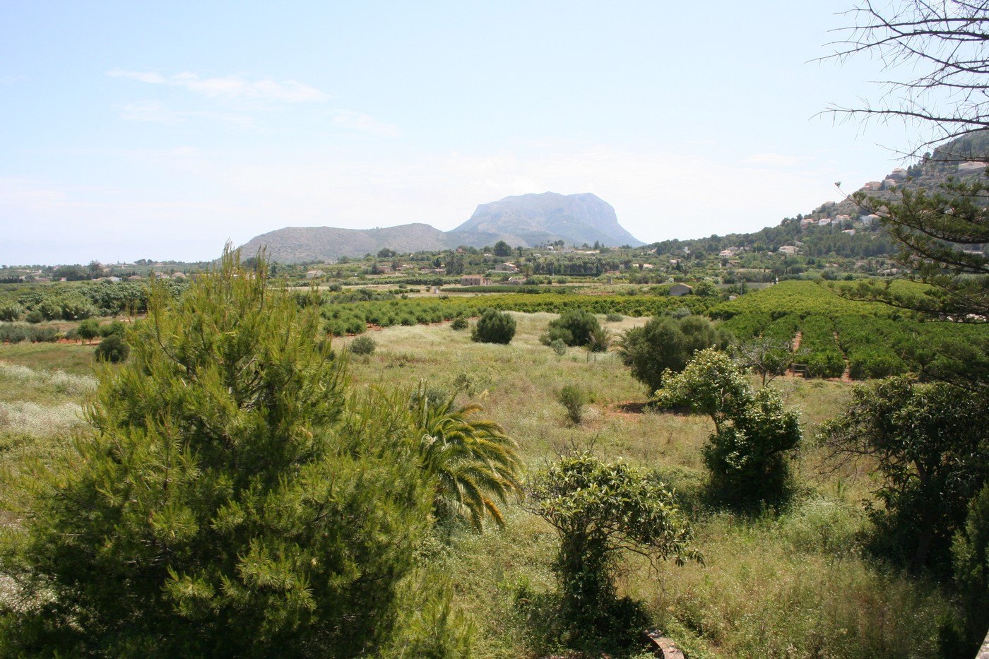 Finca en venta en Pedreguer