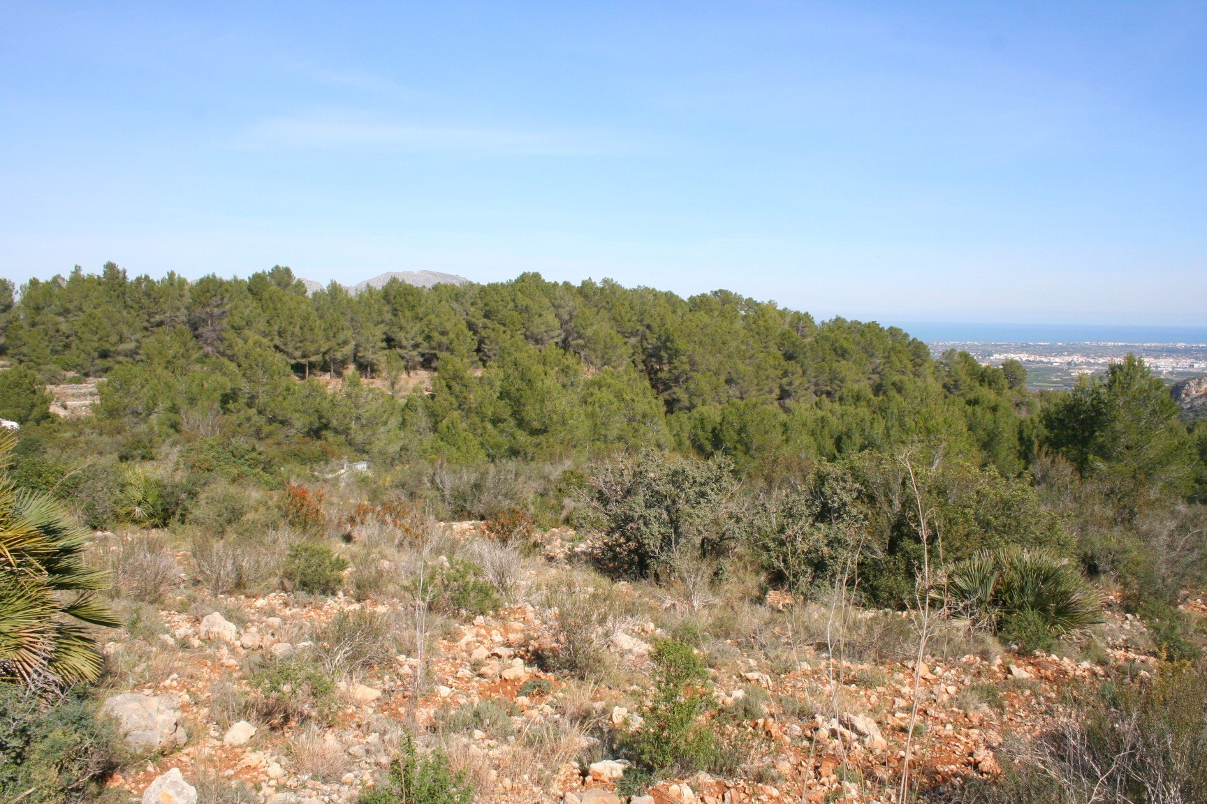 Parcela rústica de 10000 m2 con vistas al mar, Benidoleig