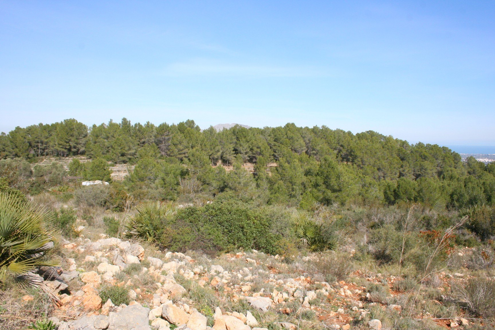 Parcela rústica de 10000 m2 con vistas al mar, Benidoleig
