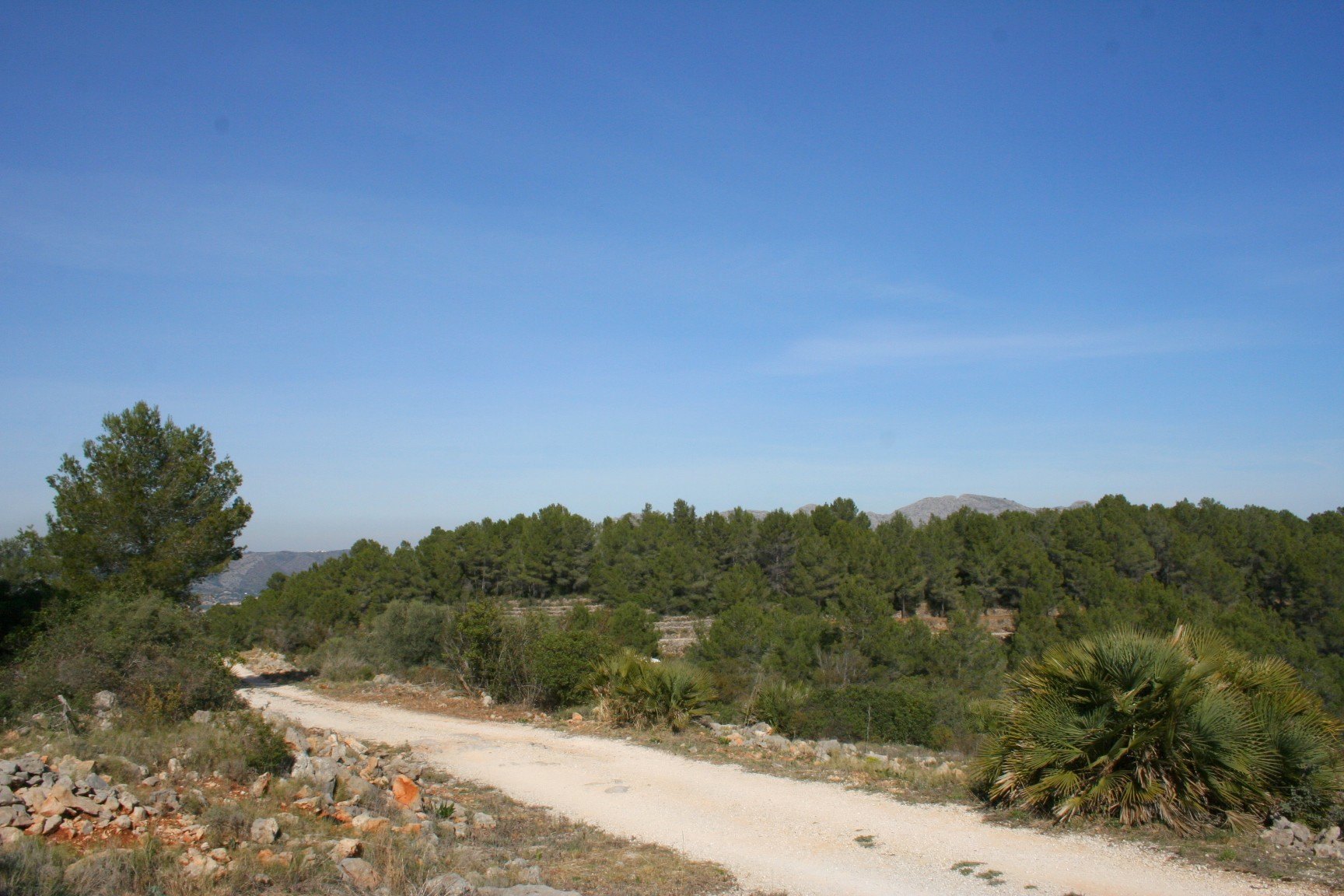 Parcela rústica de 10000 m2 con vistas al mar, Benidoleig