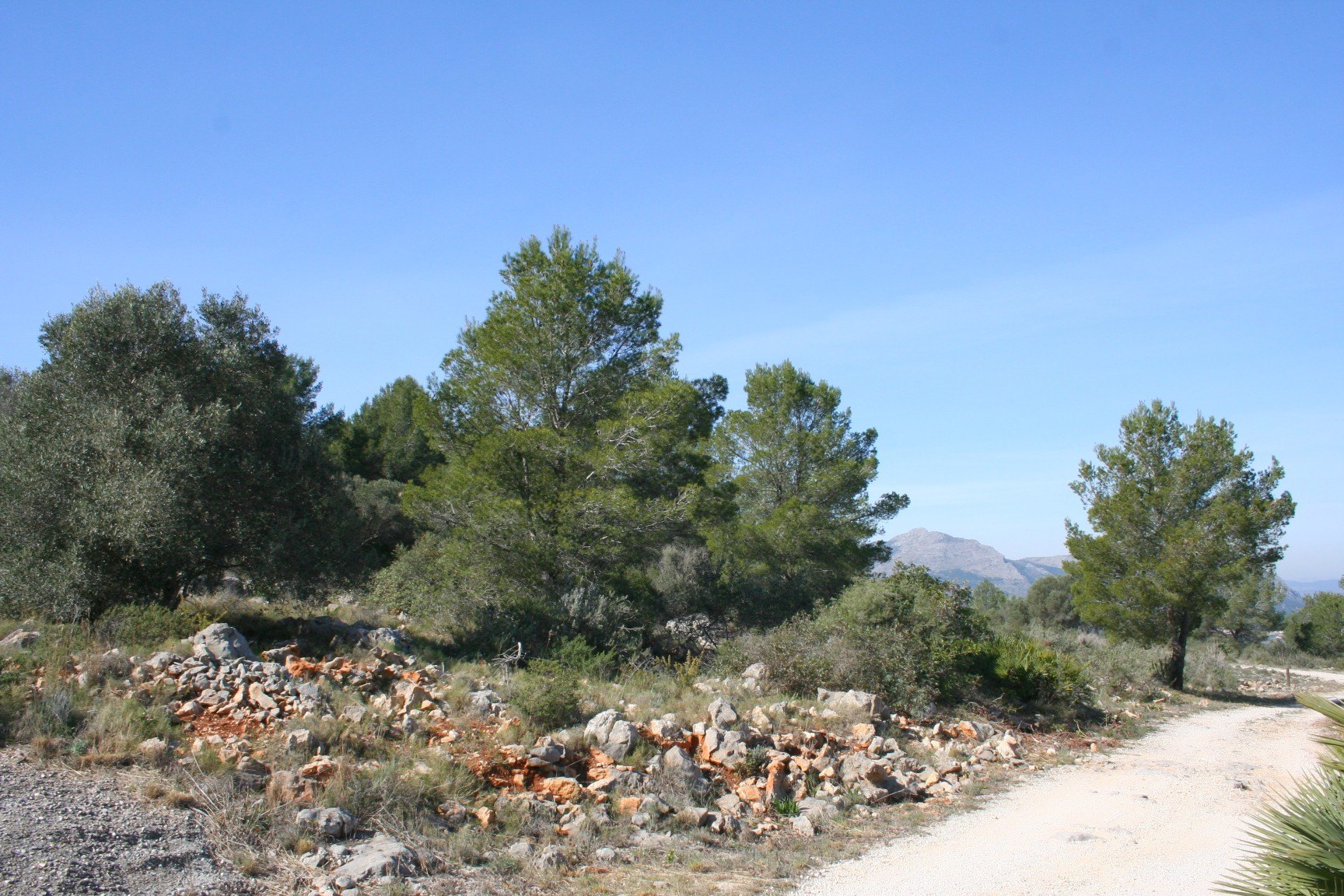 Parcela rústica de 10000 m2 con vistas al mar, Benidoleig