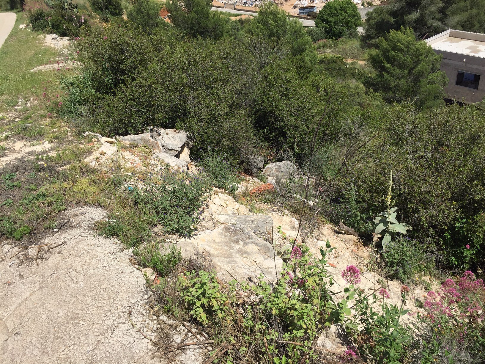 Buildable plot in Monte Solana, Pedreguer