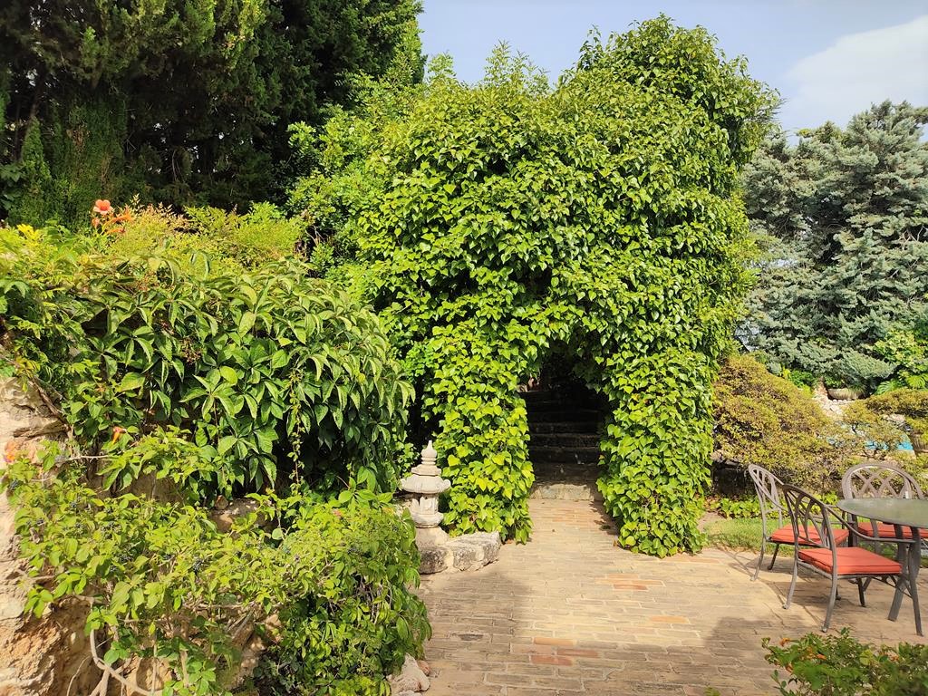 Finca rústica en Pedreguer