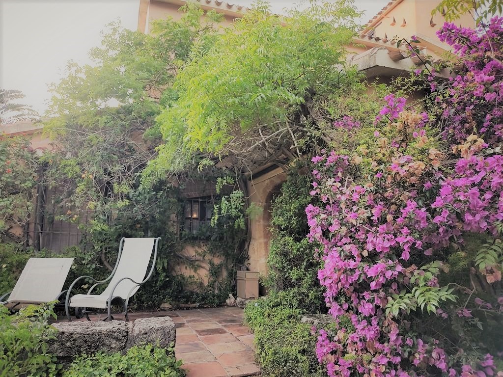 Finca rústica en Pedreguer
