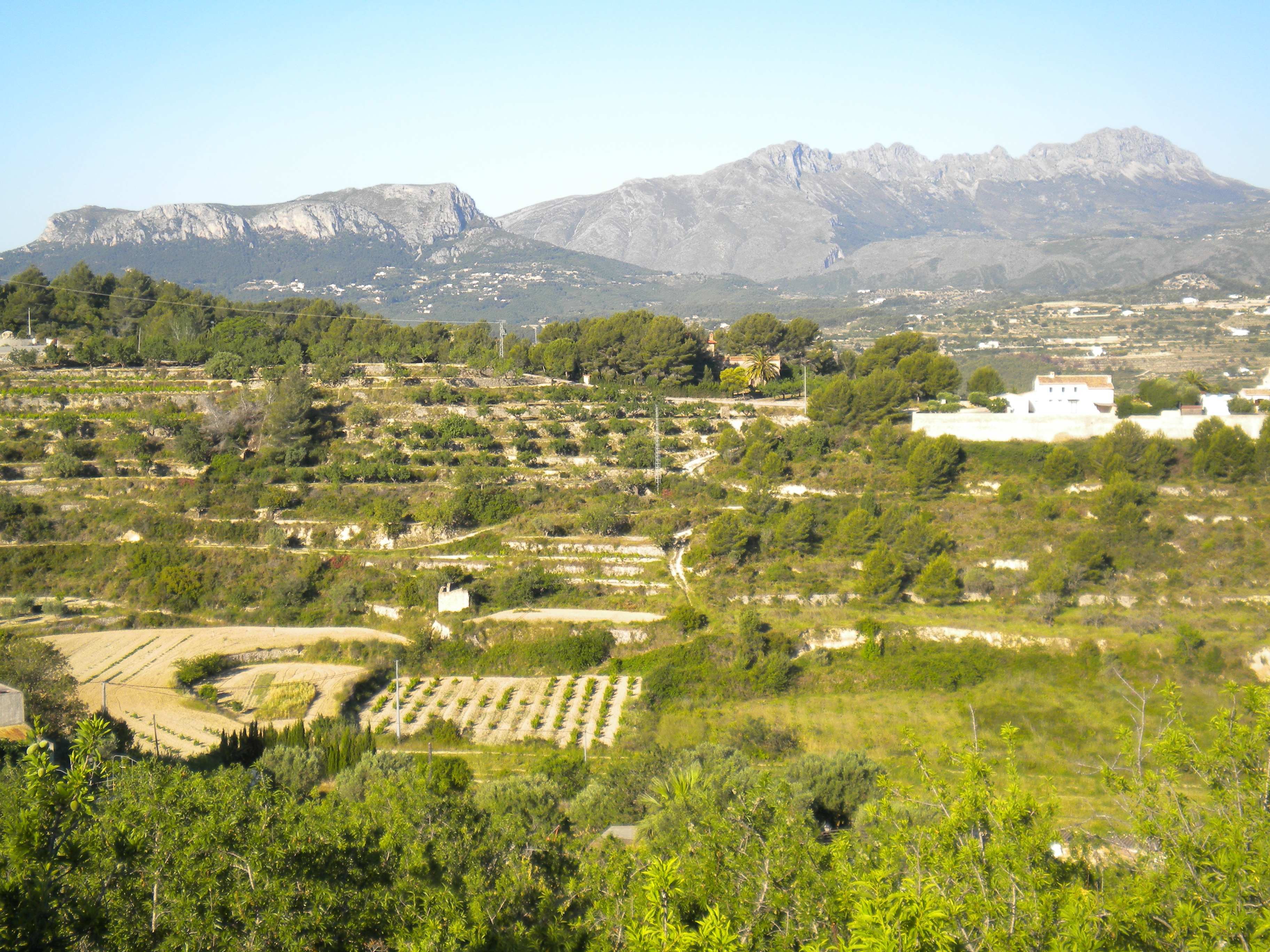 Parcela con vistas