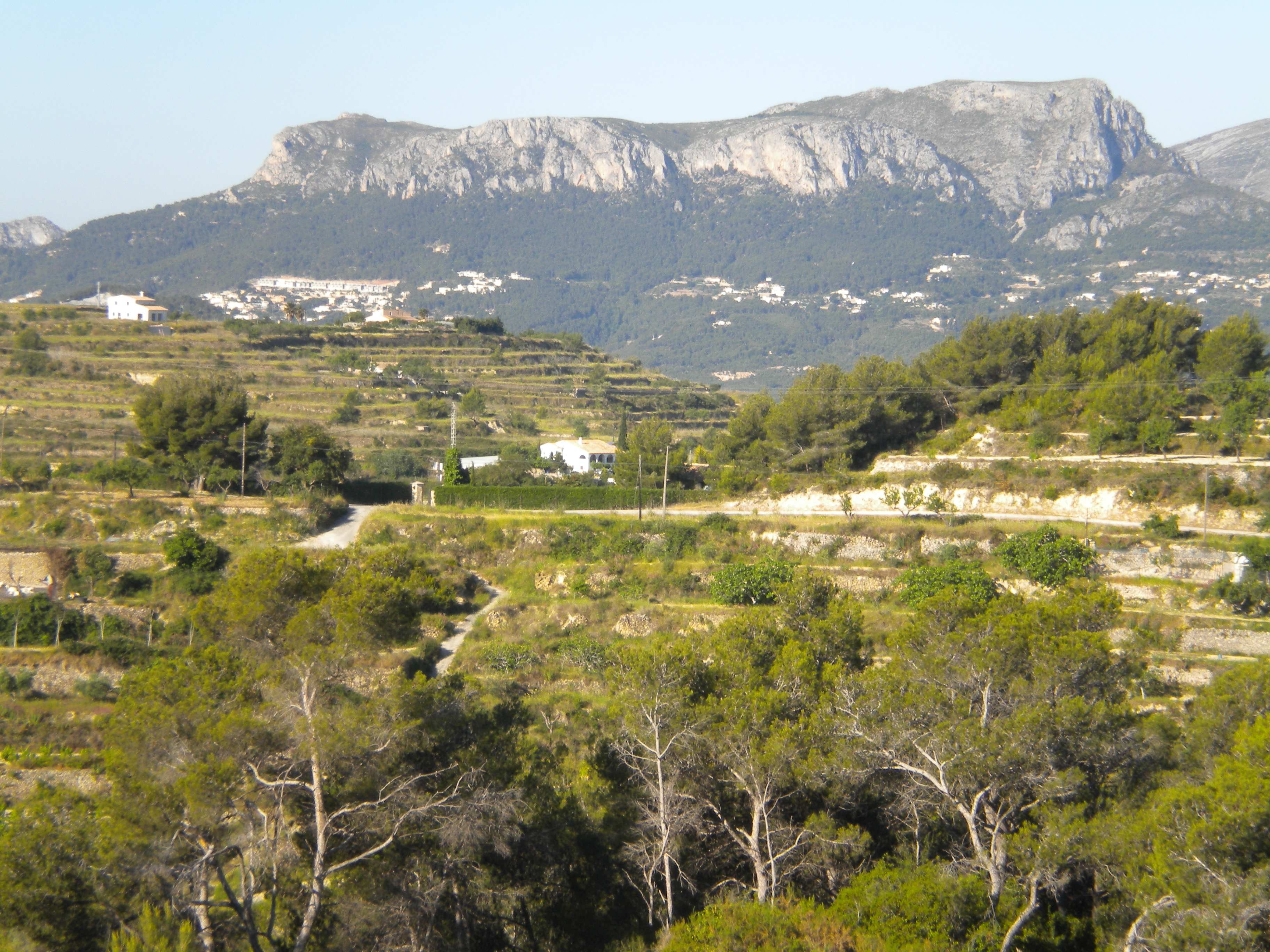Parcela con vistas